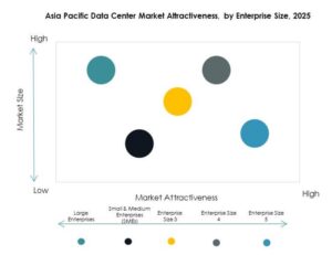 Asia Pacific Data Center Market Segmentation