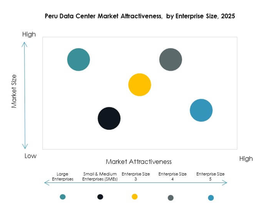 Peru Data Center Market Segmentation